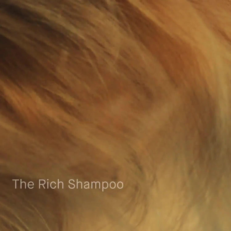 Augustinus Bader Rich Shampoo 200ml (British brand)
