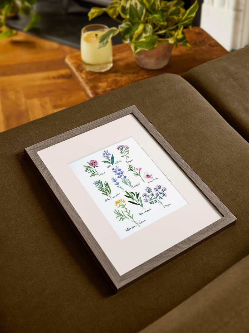 DMC herbs sampler cross stitch kit - British product