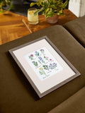 DMC herbs sampler cross stitch kit - British product