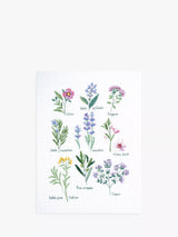 John Lewis DMC Herbs Sampler Cross Stitch Kit- Buy online at McGrocer