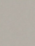 Galerie Sand Texture Wallpaper, Greige