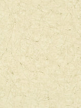 John Lewis Galerie Crackle Texture Vinyl Wallpaper 10.05m x 53cm- Buy online at McGrocer