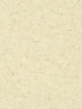 Galerie Crackle Struktur Tapetenrolle (britische Marke)