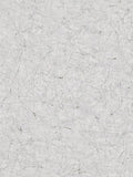 Galerie Crackle Struktur Vinyltapete 10,05m x 53cm