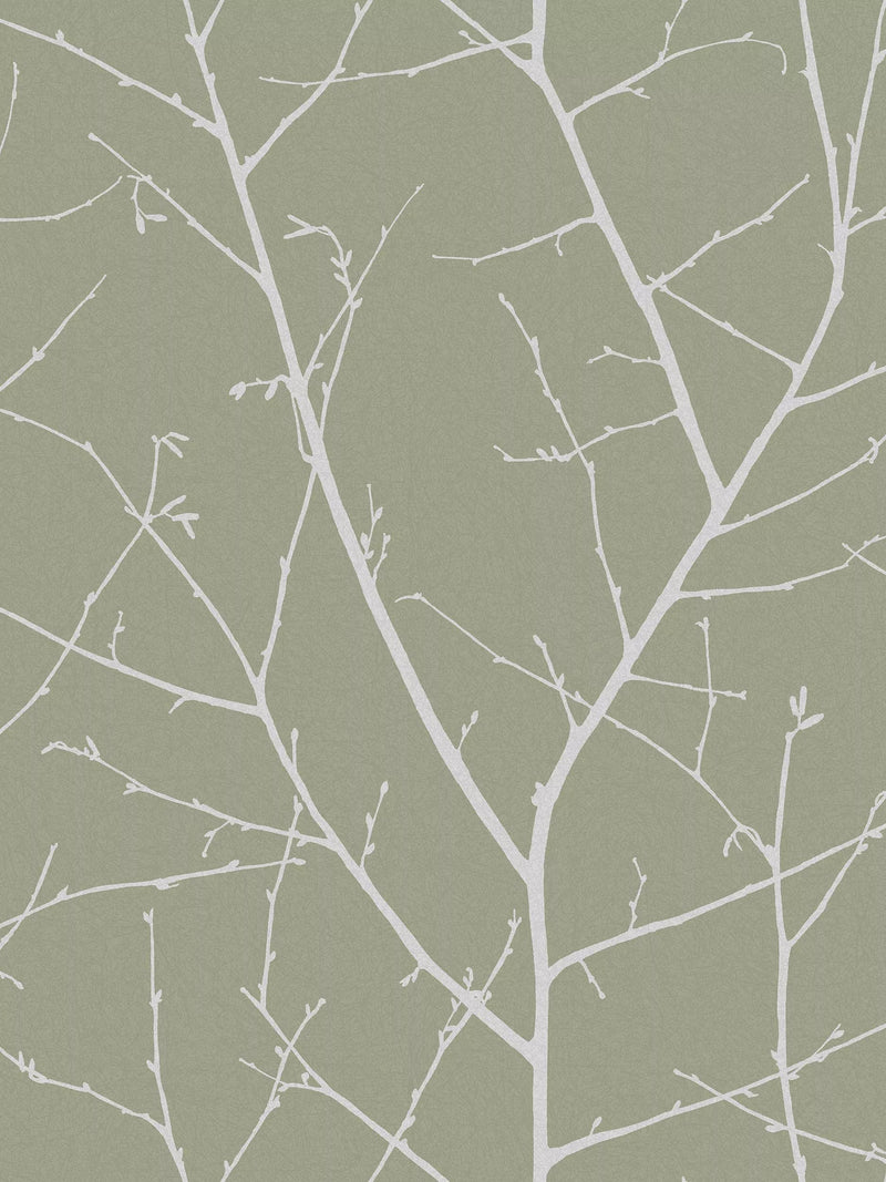 Graham & Brown Boreas Sage wallpaper, imported from the UK