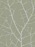 Graham & Brown Boreas Sage wallpaper, imported from the UK