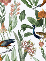 John Lewis Graham & Brown Glasshouse Day Wallpaper, White/Multi, 10m x 52cm- Buy online at McGrocer