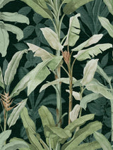 John Lewis Graham & Brown Borneo Emerald Wallpaper Green 10m x 52cm- Buy online at McGrocer