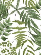 John Lewis Graham & Brown Midsummer Fern Wallpaper Lush 10m x 52cm- Buy online at McGrocer