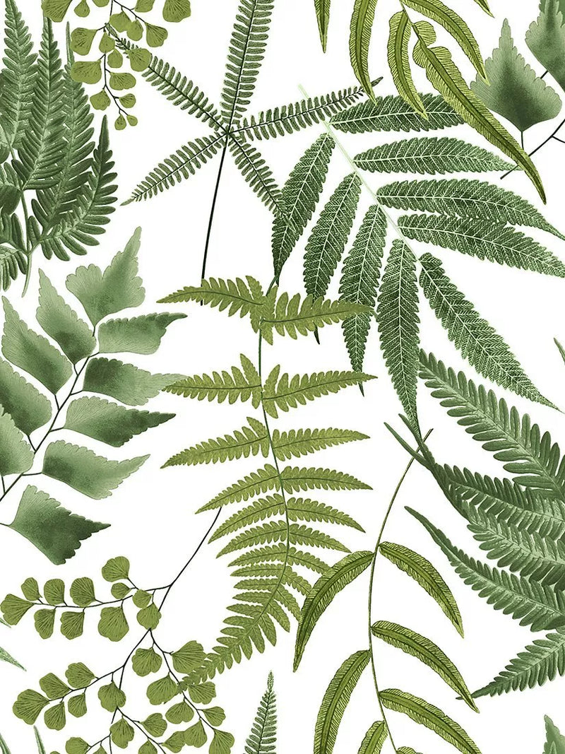 Graham & Brown Midsummer Fern wallpaper Lush, UK version