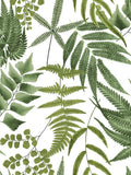 Graham & Brown Midsummer Fern wallpaper Lush, UK version