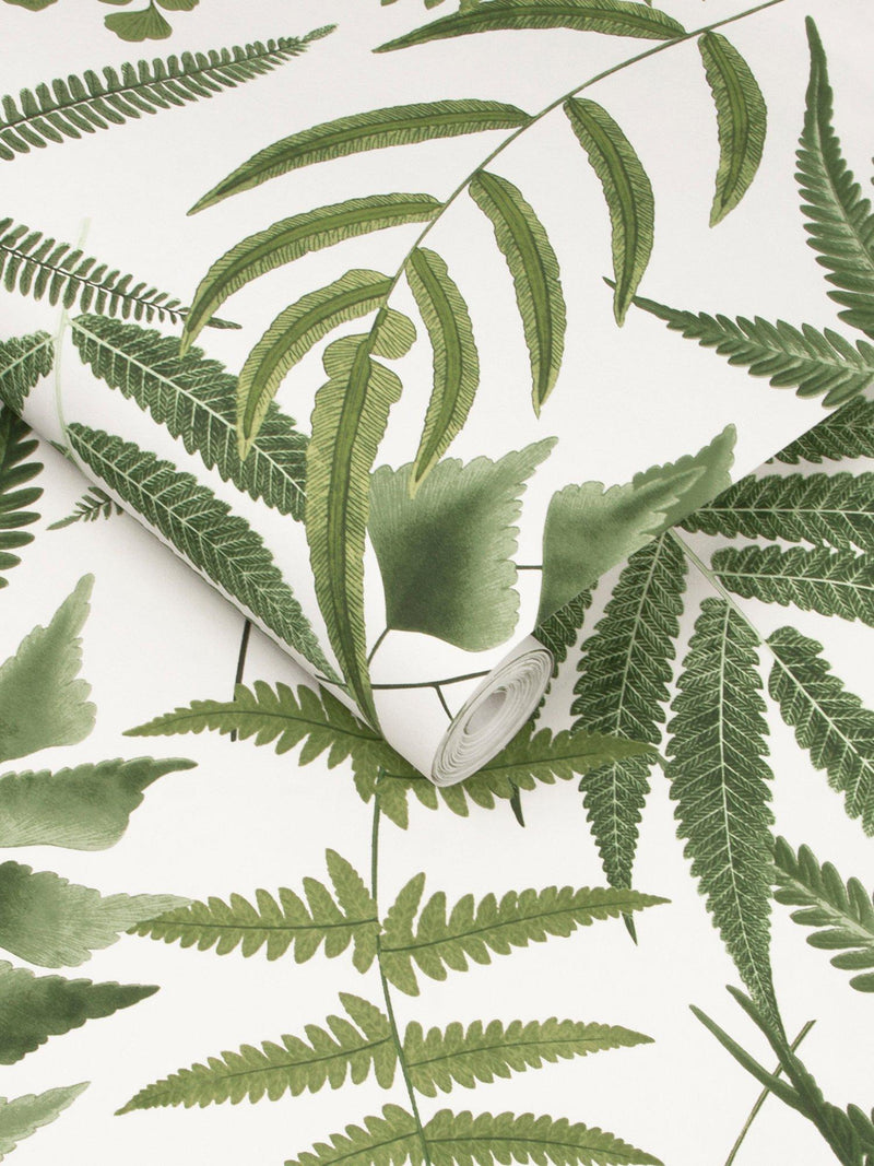 Graham & Brown Midsummer Fern wallpaper Lush, UK version