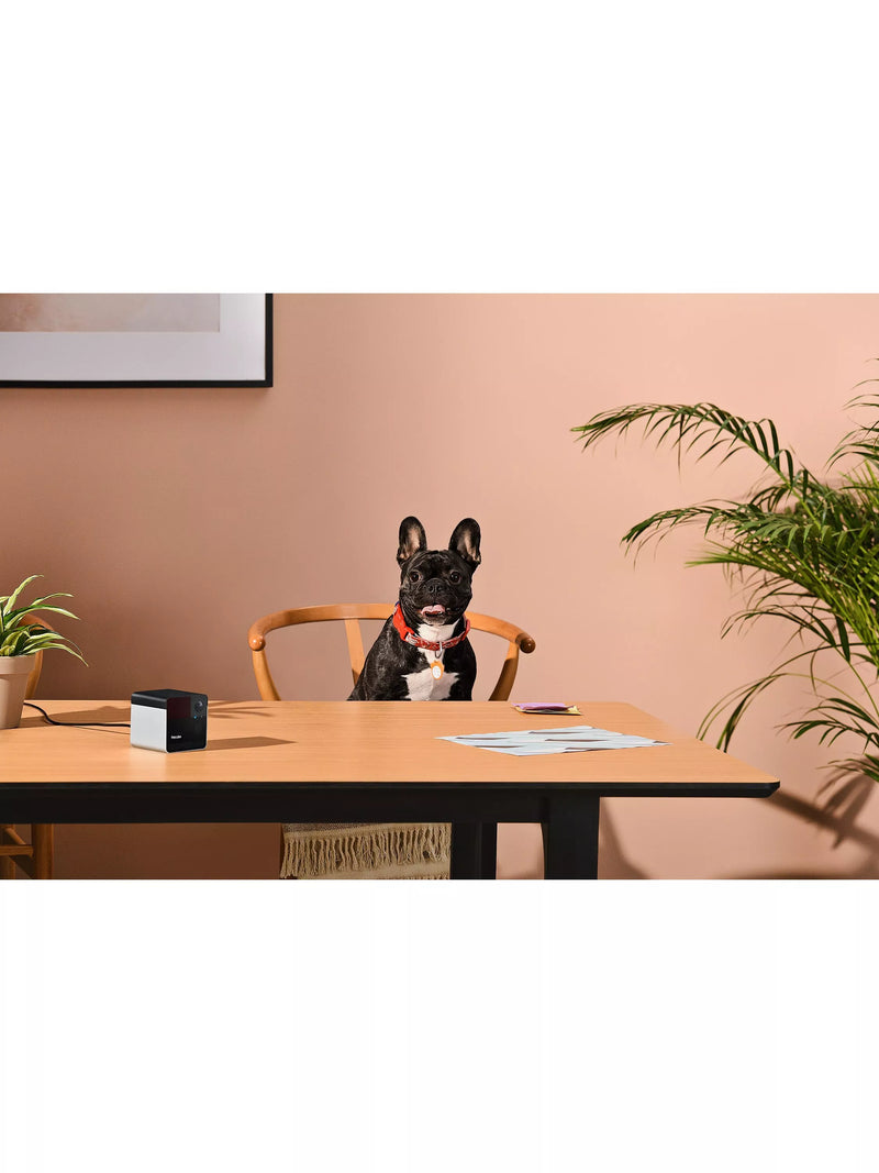 Petcube Laser Pet Camera Black - British product