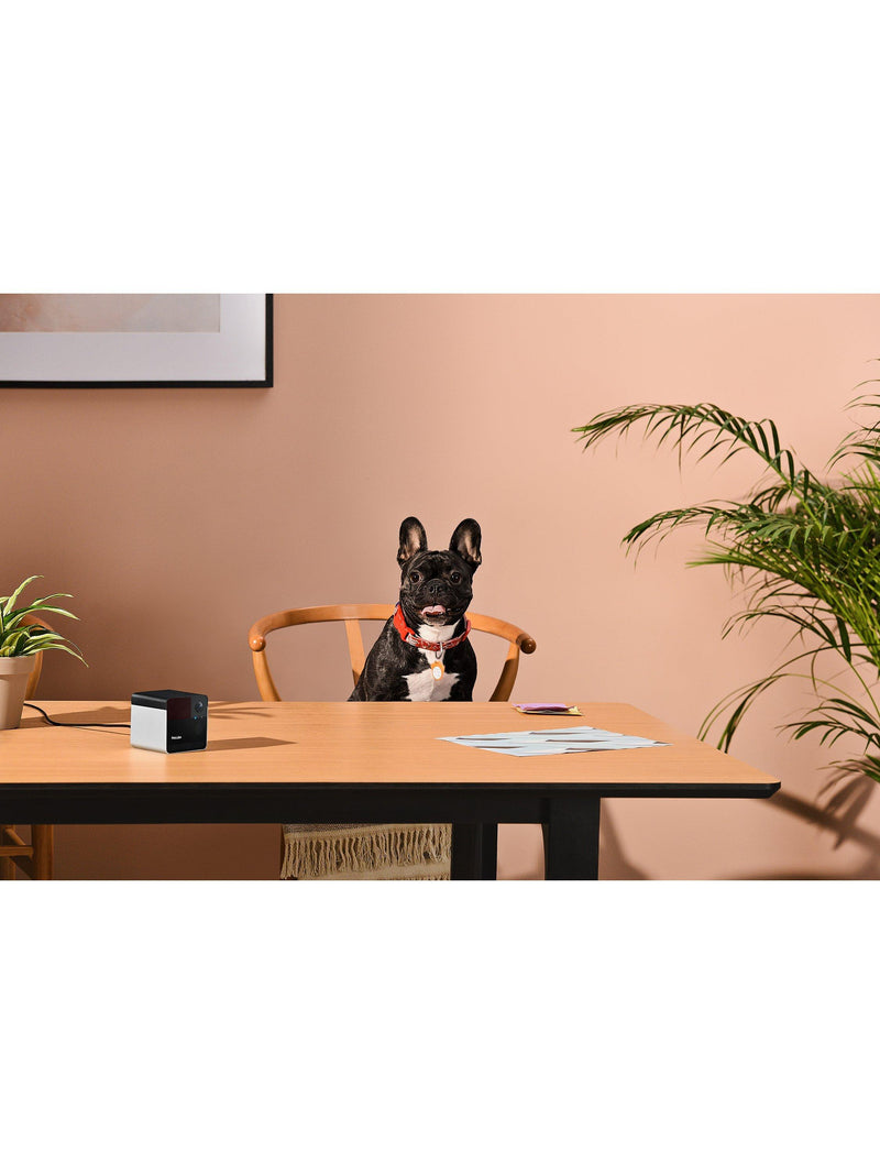Petcube Laser Pet Camera Black - British product