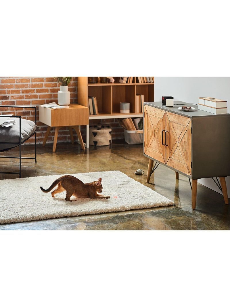 Petcube Laser Pet Camera Black - British product