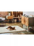 Petcube Laser Pet Camera Black - British product