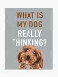 Allsorted dog thinking reference guide hardback book - British product
