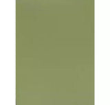 Gozney Roccbox Portable Wood-Fired & Gas Fuel Pizza Oven