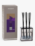 Esteban fig reed diffuser 250ml - British product
