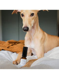 Wild For Dogs Love Bomb dog fragrance with natural ingredients (British brand)