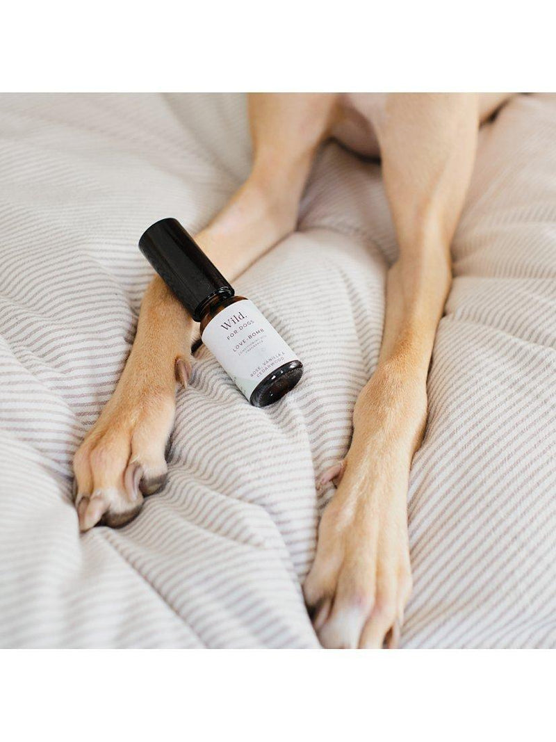 Wild For Dogs Love Bomb dog fragrance with natural ingredients (British brand)