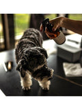 Wild For Dogs detangler spray 250ml (British brand)