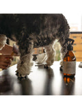 Wild For Dogs detangler spray 250ml (British brand)