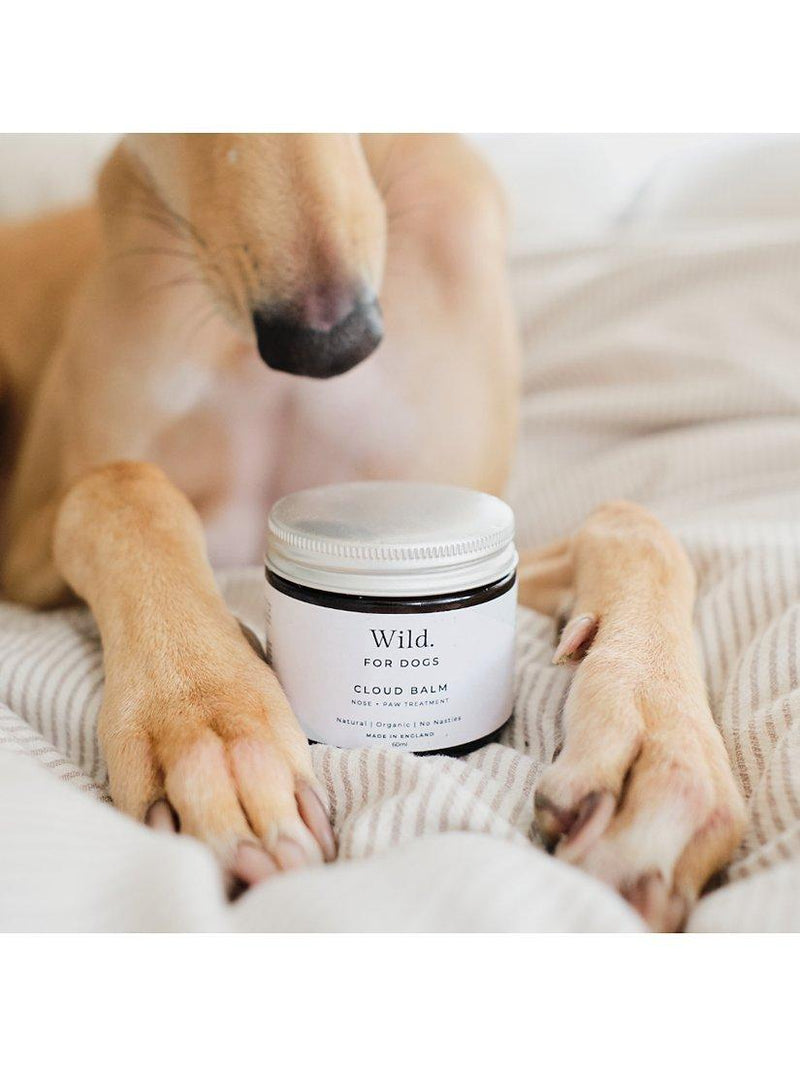 Wild For Dogs nose and paw treatment balm 60ml (British brand)