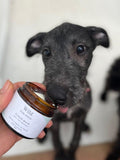 Wild For Dogs nose and paw treatment balm 60ml (British brand)