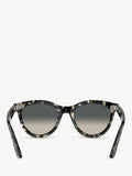 Ray-Ban RB2241 round sunglasses grey Havana, UK version