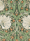 William Morris At Home Pimpernel Wallpaper - Green
