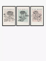 John Lewis John Lewis Mercedes Lopez Charro 'French Flowers' Framed Poster Prints Set of 3, 62 x 42cm- Buy online at McGrocer
