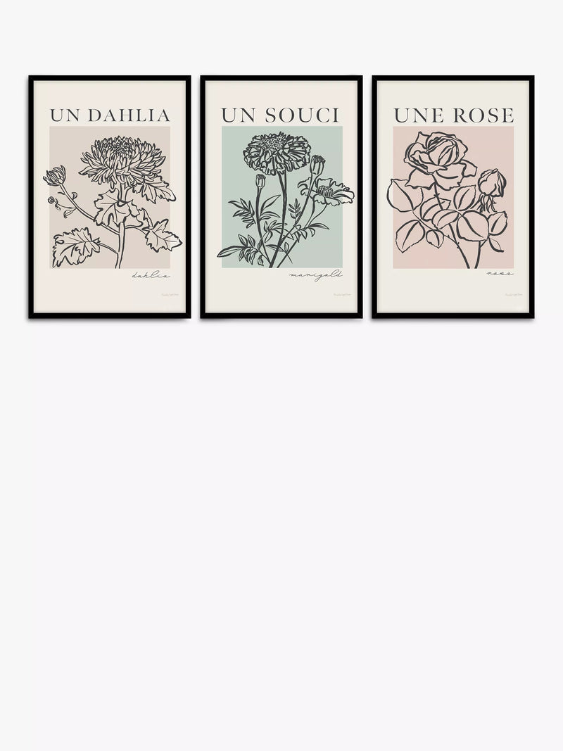 John Lewis French Flowers framed poster prints set of 3 62x42cm, UK version