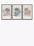 John Lewis French Flowers framed poster prints set of 3 62x42cm, UK version