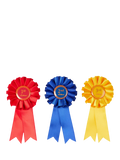 LeMieux pony rosettes pack of 3, UK version