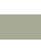 John Lewis The Little Greene Paint Company Absolute Matt Emulsion Strong Greens Interior Wall Paint 2.5L- Buy online at McGrocer