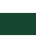 The Little Greene Paint Company Intelligent Eggshell Strong Greens Paint 1000ml