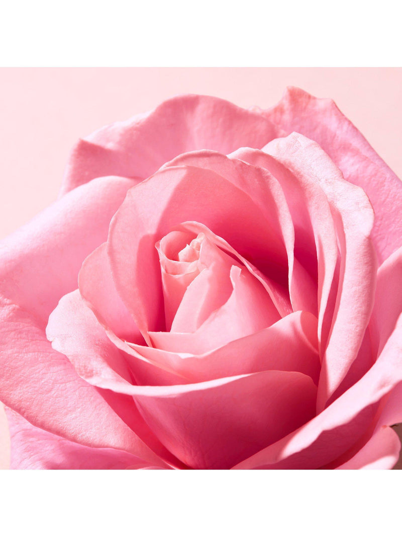 NUXE Very Rose Hand & Nail Cream 50ml, imported from the UK