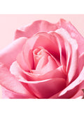 NUXE Very Rose Hand & Nail Cream 50ml, imported from the UK