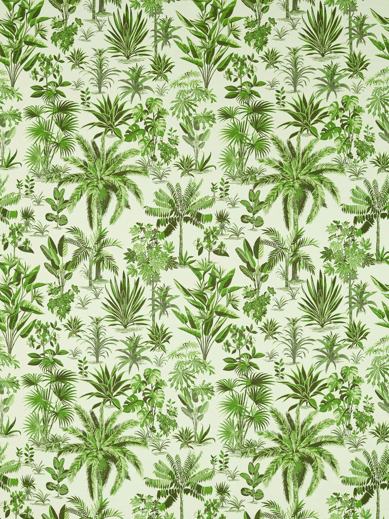 Clarke & Clarke Malindi Furnishing Fabric, Palm