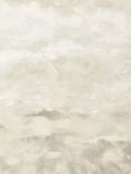 Clarke & Clarke Nairobi Furnishing Fabric, LInen