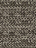 Clarke & Clarke Pokot Velvet Furnishing Fabric