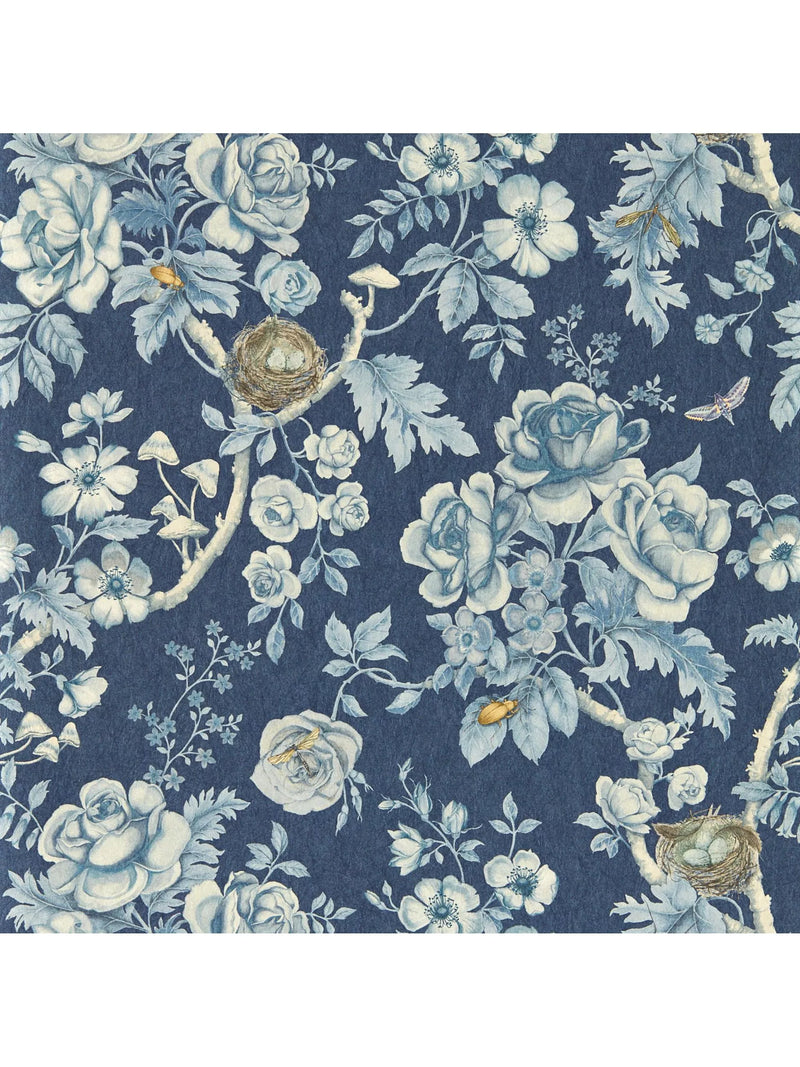 Sanderson Tansy Bloom wallpaper (British brand)