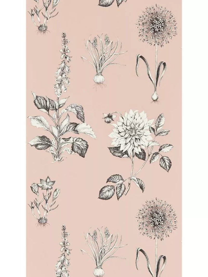 Clarke & Clarke Roseraie wallpaper 10m - British product