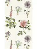 Clarke & Clarke Roseraie Wallpaper - Blush