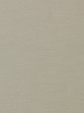 Clarke & Clarke Paradiso Furnishing Fabric, Dove