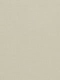 Clarke & Clarke Paradiso Furnishing Fabric, Ivory