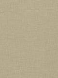 Clarke & Clarke Paradiso Furnishing Fabric, Oatmeal
