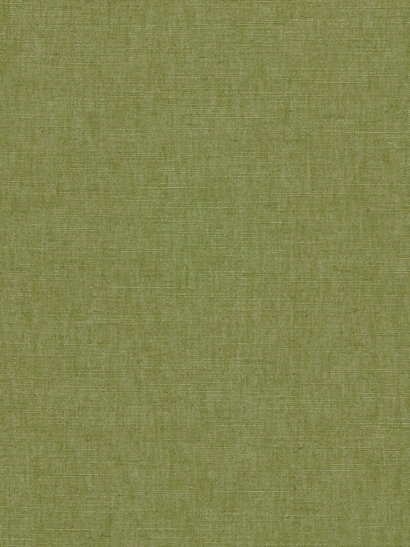 Clarke & Clarke Paradiso Furnishing Fabric, Palm