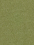 Clarke & Clarke Paradiso Furnishing Fabric, Palm
